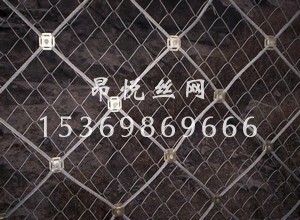 邊坡防護網3.jpg